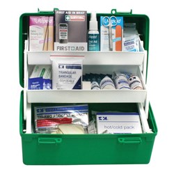 Domestic Kit in a Portable Two Tray Plastic Container